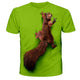 3D Graphic Printed Short Sleeve Shirts Squirrel